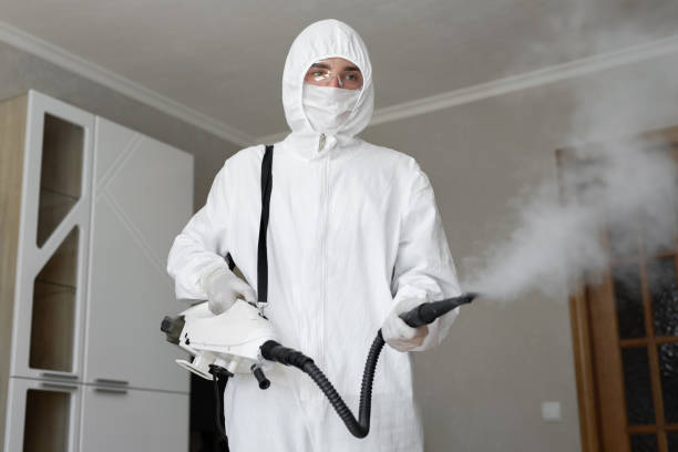 Reliable Queen City, TX Mold Removal Solutions